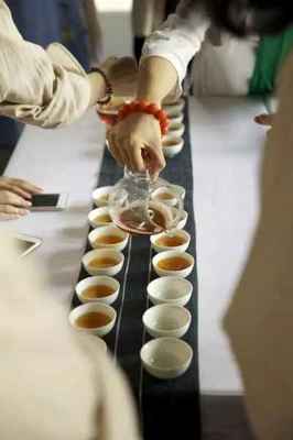 沐坤活茶·茶道 一場身心與自然的對話